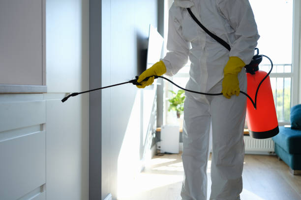 Best Basement Mold Remediation in Cleary, MS