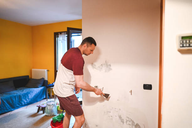  Cleary, MS Mold Removal Pros