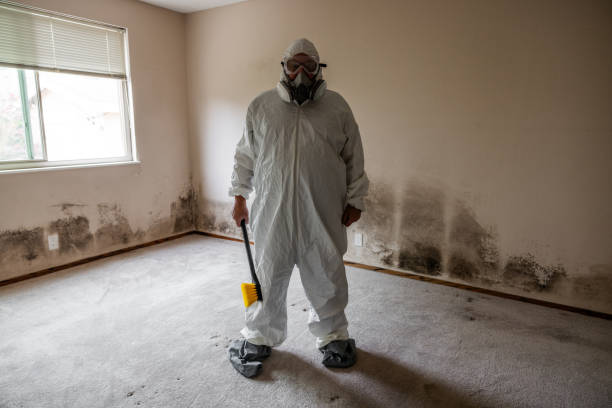 Best Post-Remediation Services in Cleary, MS